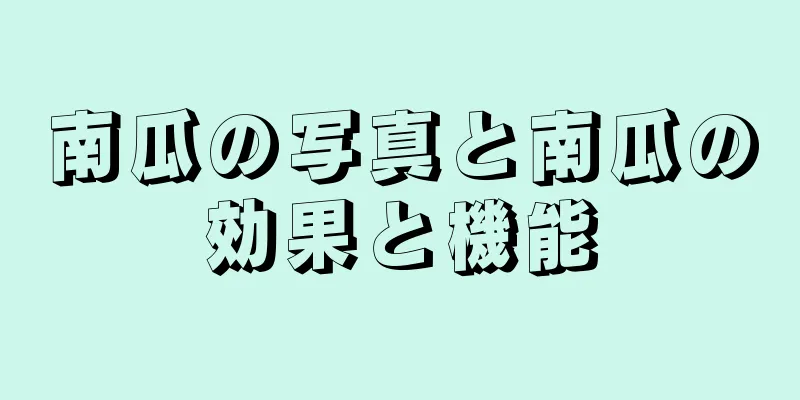 南瓜の写真と南瓜の効果と機能