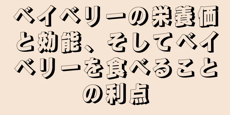 ベイベリーの栄養価と効能、そしてベイベリーを食べることの利点