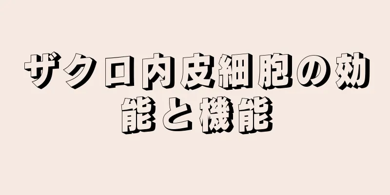 ザクロ内皮細胞の効能と機能