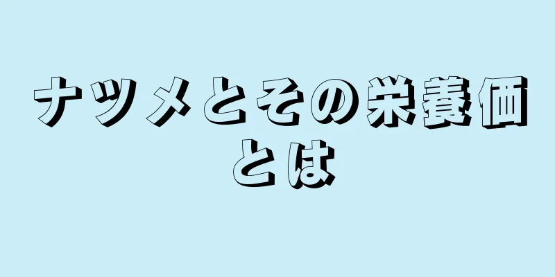 ナツメとその栄養価とは