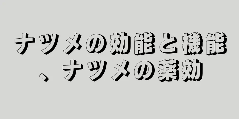 ナツメの効能と機能、ナツメの薬効