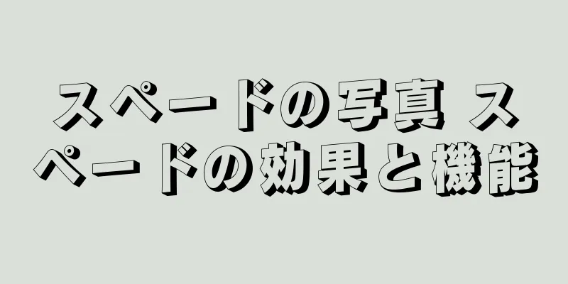スペードの写真 スペードの効果と機能