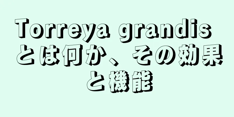 Torreya grandis とは何か、その効果と機能