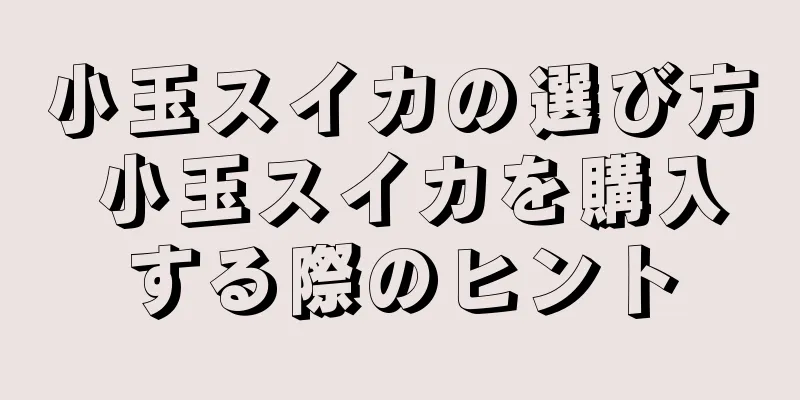 小玉スイカの選び方 小玉スイカを購入する際のヒント