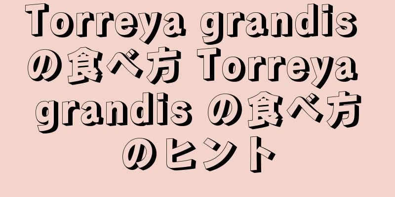 Torreya grandis の食べ方 Torreya grandis の食べ方のヒント