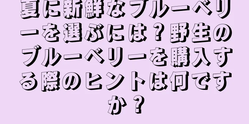 夏に新鮮なブルーベリーを選ぶには？野生のブルーベリーを購入する際のヒントは何ですか？