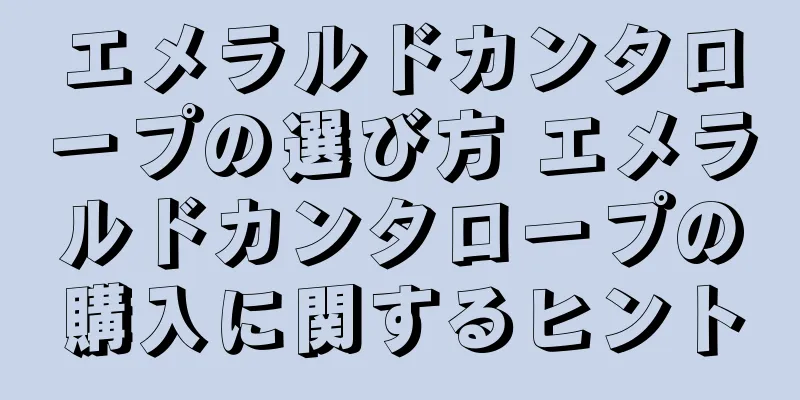 エメラルドカンタロープの選び方 エメラルドカンタロープの購入に関するヒント