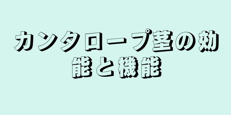 カンタロープ茎の効能と機能