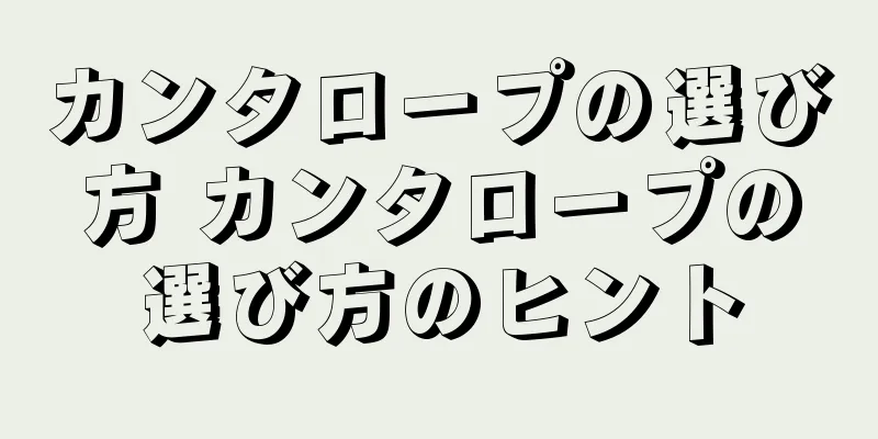 カンタロープの選び方 カンタロープの選び方のヒント
