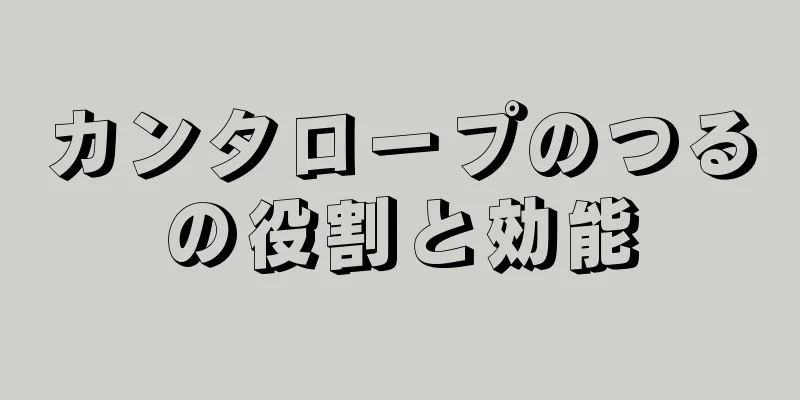 カンタロープのつるの役割と効能