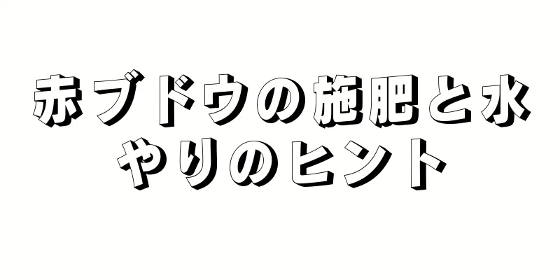 赤ブドウの施肥と水やりのヒント