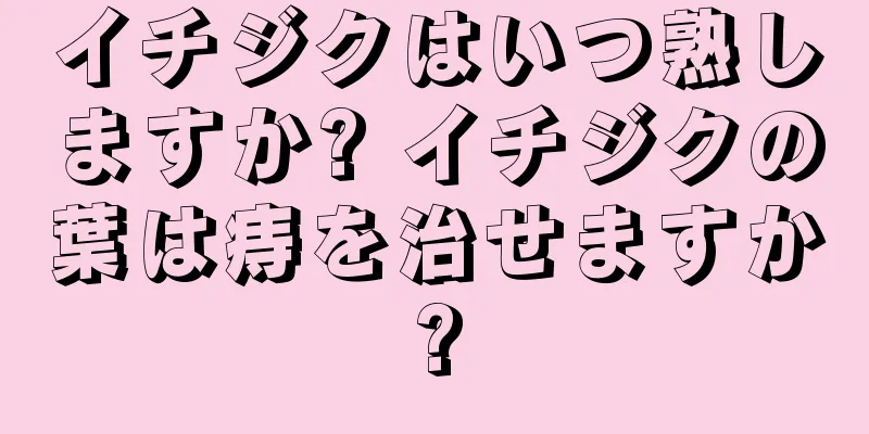 イチジクはいつ熟しますか? イチジクの葉は痔を治せますか?