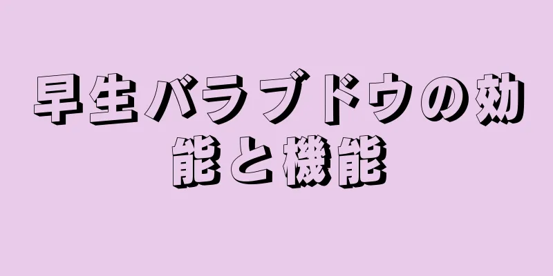 早生バラブドウの効能と機能