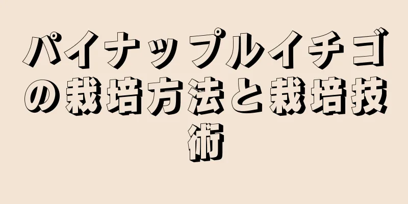 パイナップルイチゴの栽培方法と栽培技術