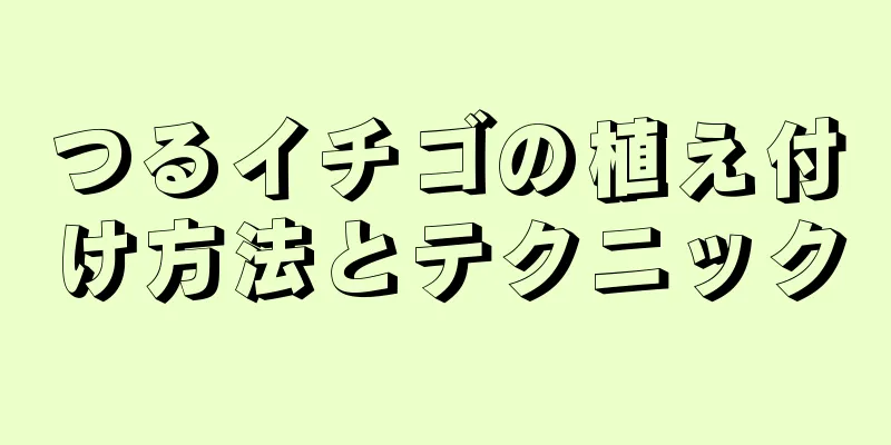 つるイチゴの植え付け方法とテクニック