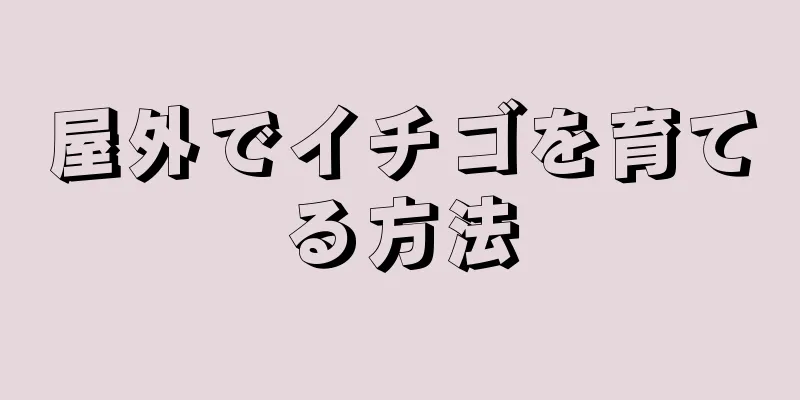 屋外でイチゴを育てる方法