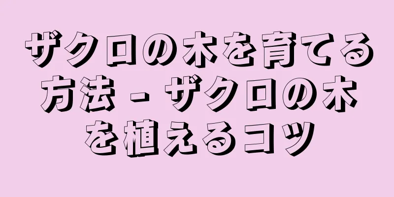 ザクロの木を育てる方法 - ザクロの木を植えるコツ