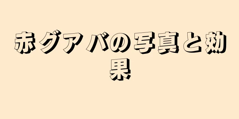 赤グアバの写真と効果