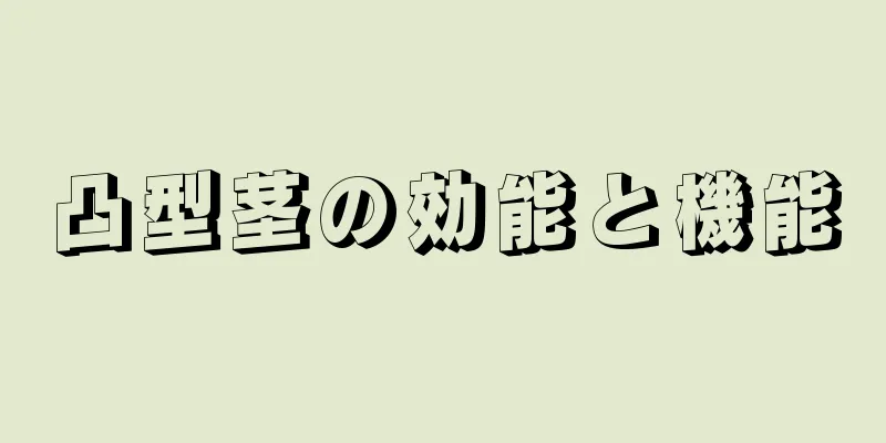 凸型茎の効能と機能