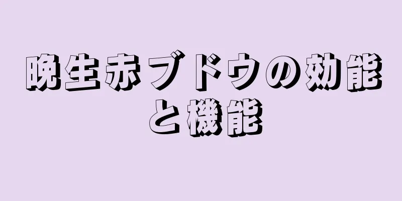 晩生赤ブドウの効能と機能