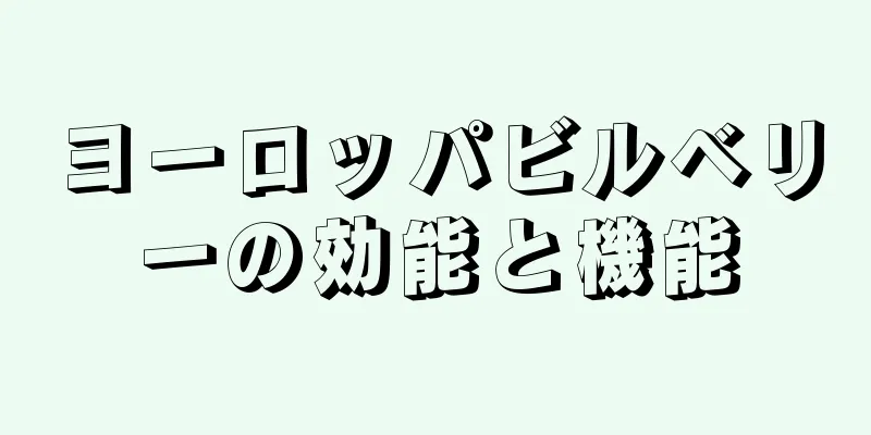 ヨーロッパビルベリーの効能と機能
