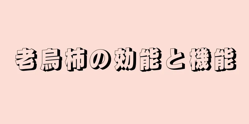老烏柿の効能と機能