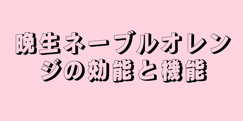 晩生ネーブルオレンジの効能と機能