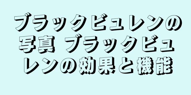 ブラックビュレンの写真 ブラックビュレンの効果と機能