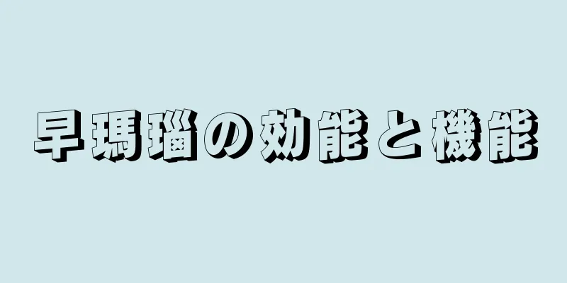 早瑪瑙の効能と機能