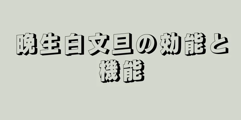 晩生白文旦の効能と機能