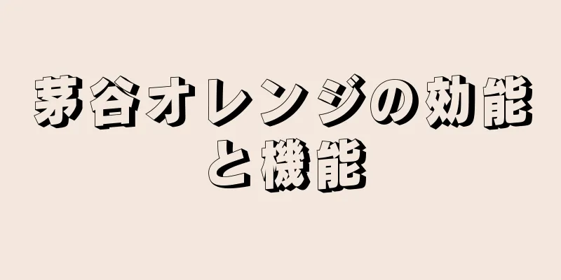 茅谷オレンジの効能と機能