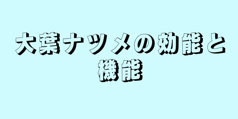 大葉ナツメの効能と機能