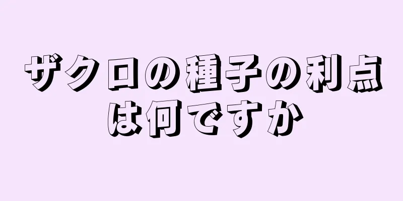 ザクロの種子の利点は何ですか