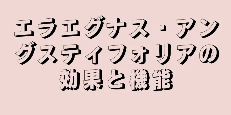 エラエグナス・アングスティフォリアの効果と機能