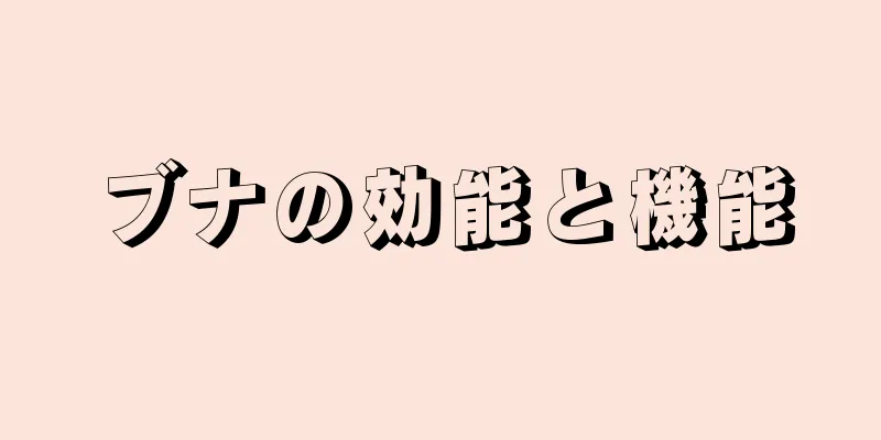 ブナの効能と機能