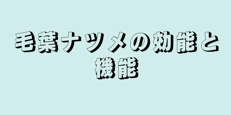 毛葉ナツメの効能と機能