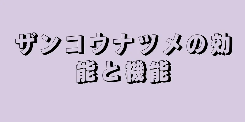 ザンコウナツメの効能と機能