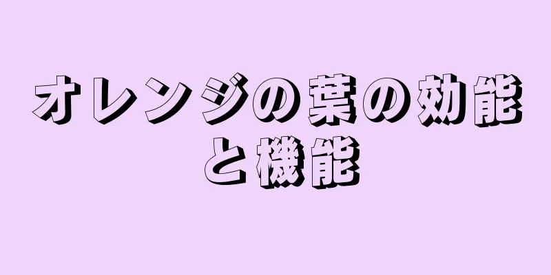 オレンジの葉の効能と機能