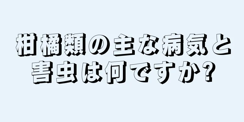 柑橘類の主な病気と害虫は何ですか?