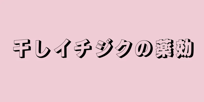 干しイチジクの薬効