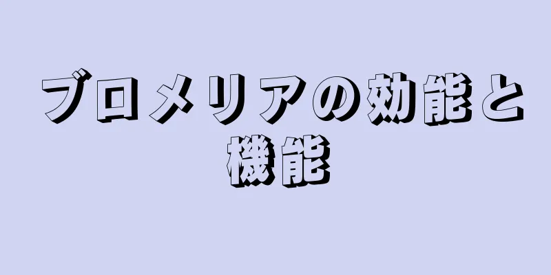 ブロメリアの効能と機能