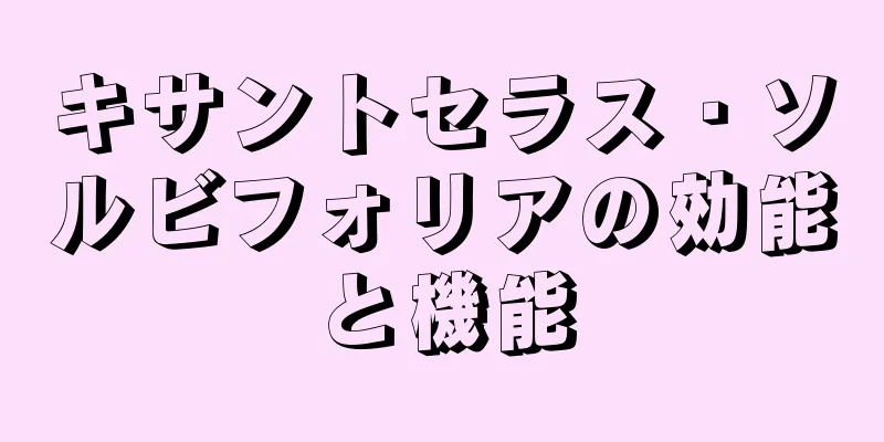 キサントセラス・ソルビフォリアの効能と機能