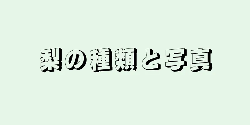 梨の種類と写真