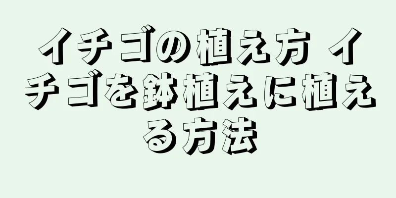 イチゴの植え方 イチゴを鉢植えに植える方法