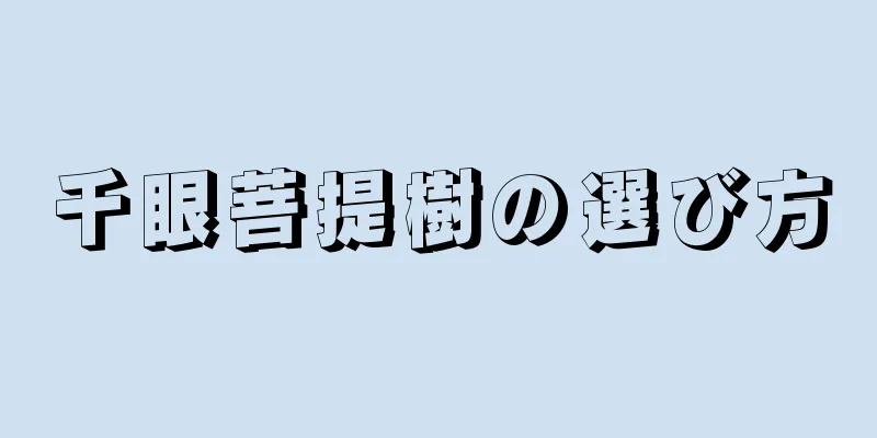 千眼菩提樹の選び方