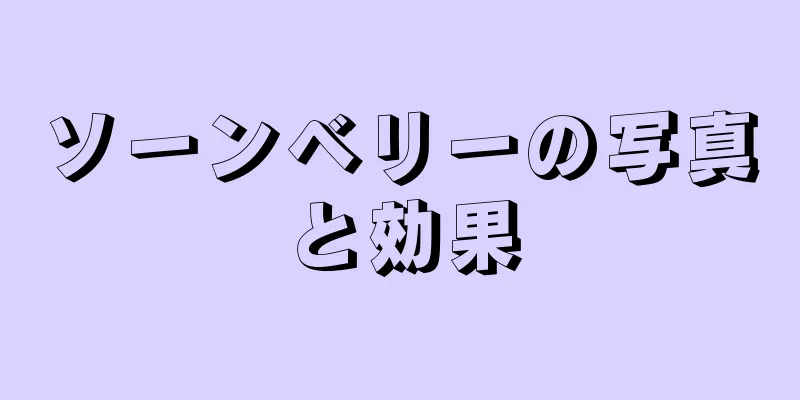 ソーンベリーの写真と効果