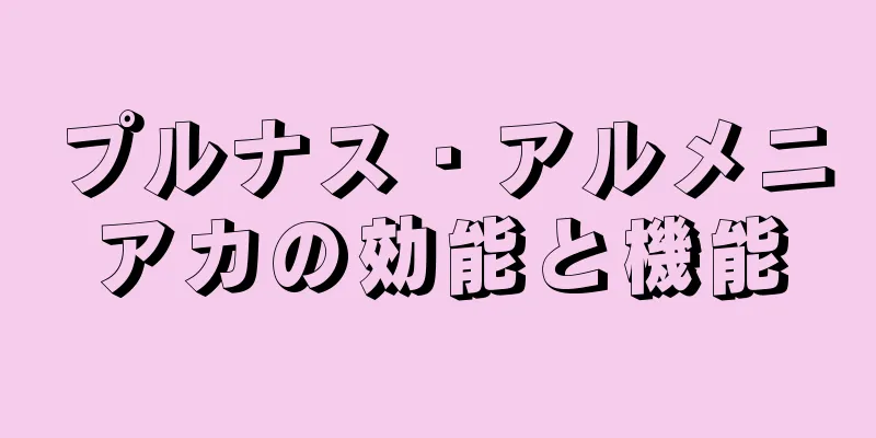 プルナス・アルメニアカの効能と機能