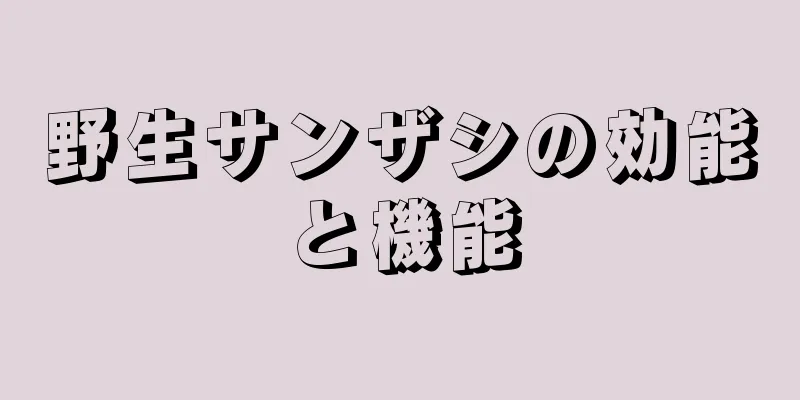 野生サンザシの効能と機能