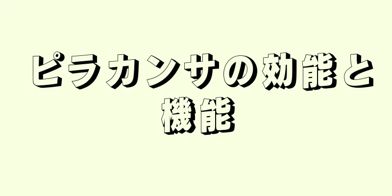 ピラカンサの効能と機能