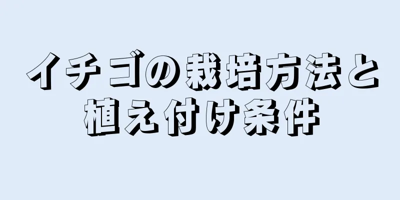 イチゴの栽培方法と植え付け条件
